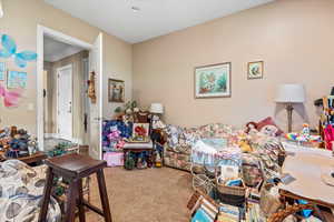 View of carpeted bedroom or art studio