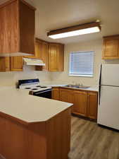 Kitchen with cabinets, under cabinet range hood, electric stove, a sink, and  refrigerator