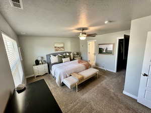 Carpeted bedroom with a textured ceiling, visible vents, and baseboards