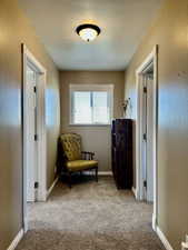 Sitting area to enjoy a good book and a little rest with carpet flooring