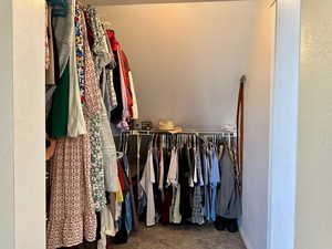 Spacious closet featuring carpet floors