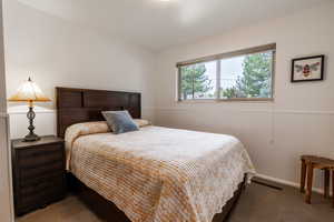 Bedroom with a wainscoted wall and carpet