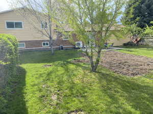 View of yard featuring a patio