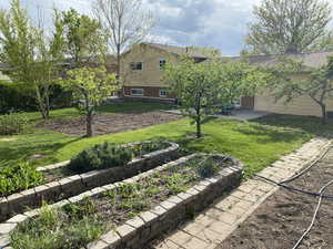 View of yard featuring a patio area