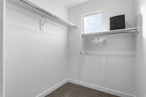 Spacious closet featuring dark carpet