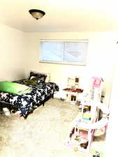 Bedroom featuring carpet floors