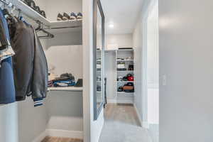 Spacious closet featuring carpet