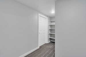 Walk in closet with dark colored carpet