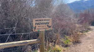 Exterior details featuring a wooded view and a mountain view