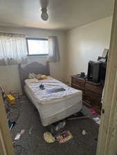 Bedroom featuring carpet floors