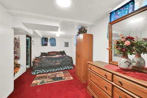 Bedroom featuring dark colored carpet and electric panel