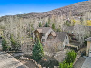 Drone / aerial view featuring a mountain view