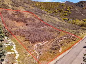 Birds eye view of property with a mountain view