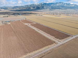 Drone / aerial view featuring a rural view and a mountain view