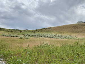 View of nature