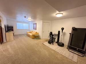 Workout area featuring carpet floors, a textured ceiling, and baseboards