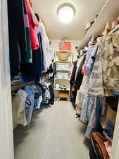 Spacious closet with carpet flooring