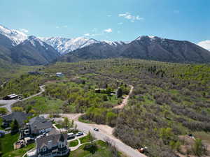 Birds eye view of property featuring a mountain view and a view of trees