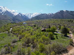 View of mountain feature with a forest view