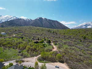 View of mountain feature with a wooded view
