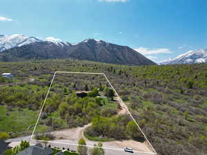 Aerial view with a mountain view and a forest view