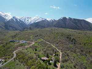 View of mountain feature with a forest view