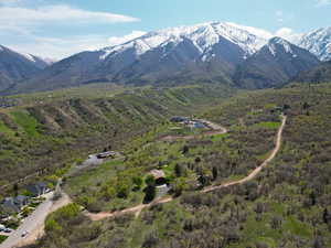 Drone / aerial view with a mountain view and a view of trees