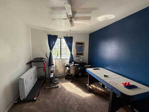 Rec room featuring ceiling fan and carpet floors