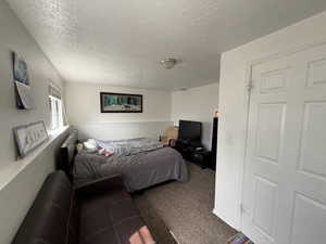 Carpeted bedroom with a textured ceiling