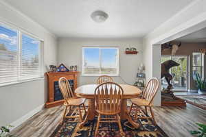 Dining space featuring crown molding, wood finished floors, and a healthy amount of sunlight