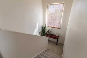 Stairway with carpet flooring and baseboards