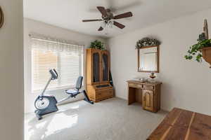 Workout room with a ceiling fan and light carpet
