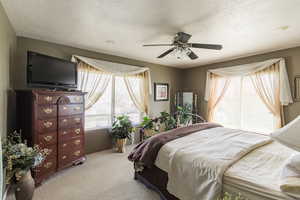 Carpeted bedroom featuring ceiling fan and multiple windows