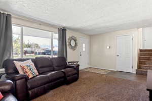 Living room with dark colored carpet.
