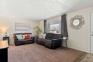 Living area with carpet floors