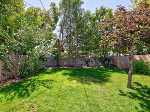 Mature trees and lots of grass!