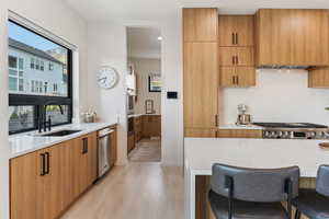 Kitchen featuring modern cabinets, a sink, stainless steel appliances, light wood-style floors, and wall chimney exhaust hood