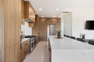 Kitchen with modern cabinets, a large island, a kitchen breakfast bar, and appliances with stainless steel finishes