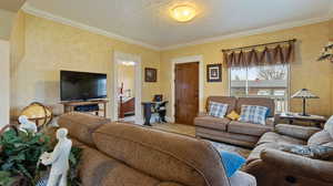 Living area featuring a textured ceiling and crown molding