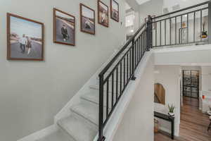 A striking staircase adorned with plush carpeting and sleek metal railing, seamlessly blending elegance with contemporary style.