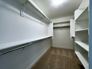 Walk in closet with carpet