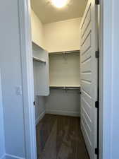 Spacious closet featuring dark colored carpet