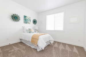 Bedroom featuring baseboards and carpet floors