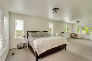 Bedroom with visible vents, baseboards, and light carpet