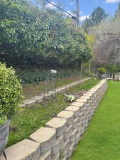 View of backyard landscaping