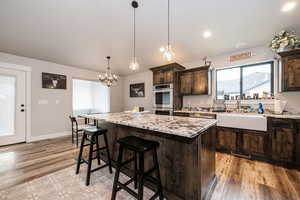 Kitchen featuring double oven, light wood-type flooring, dark brown cabinets, and a sink
