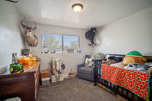 Carpeted bedroom featuring a textured ceiling