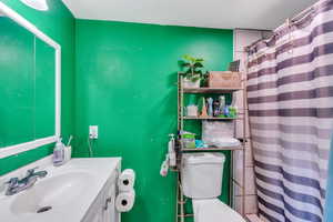 Full bathroom with toilet, curtained shower, and vanity