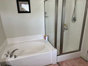 Bathroom with a stall shower and a bath