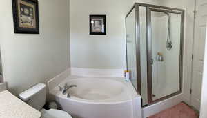 Full bath featuring toilet, vanity, a shower stall, and a bath